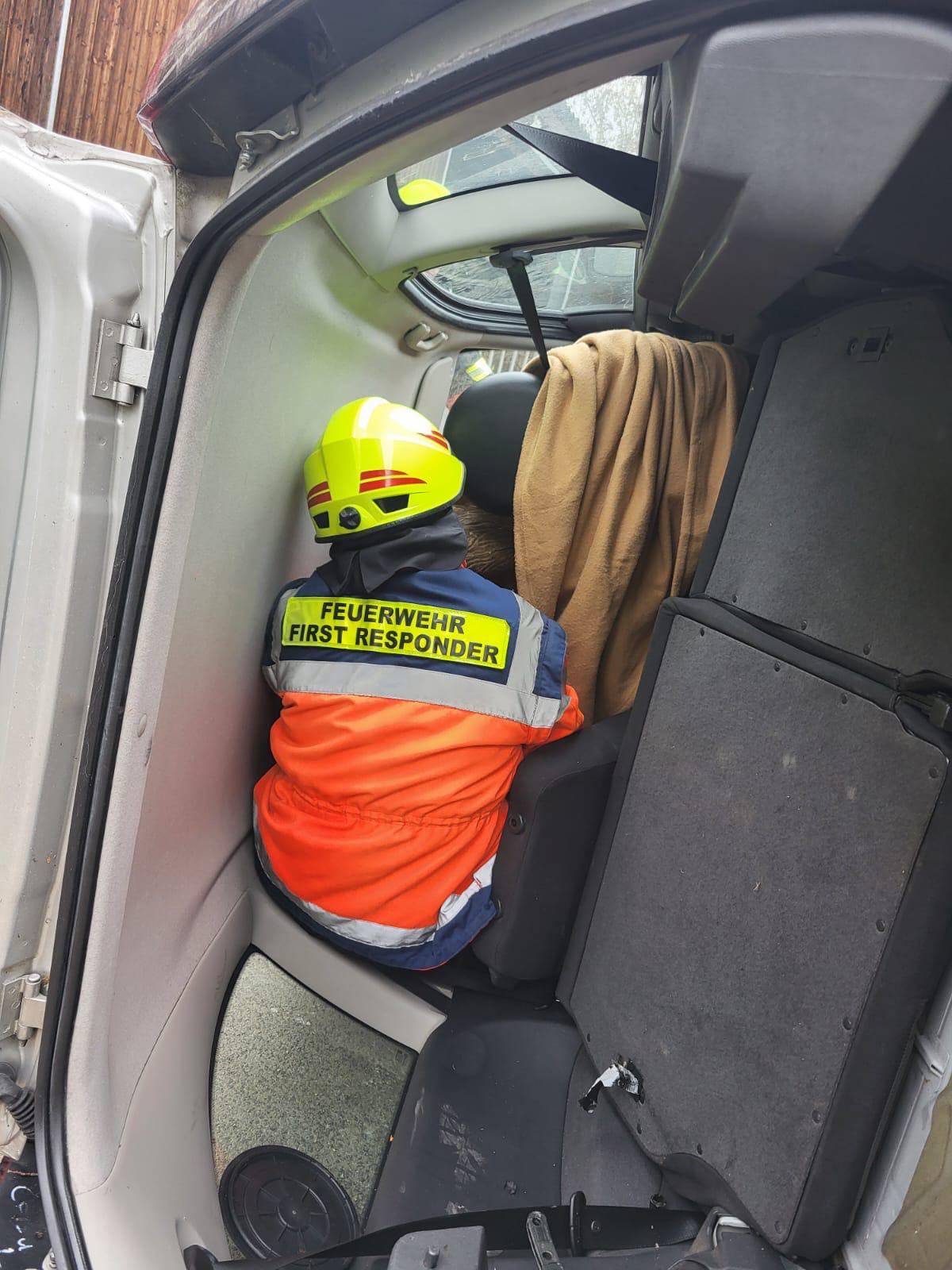 IMG 20241111 WA0008.jpg