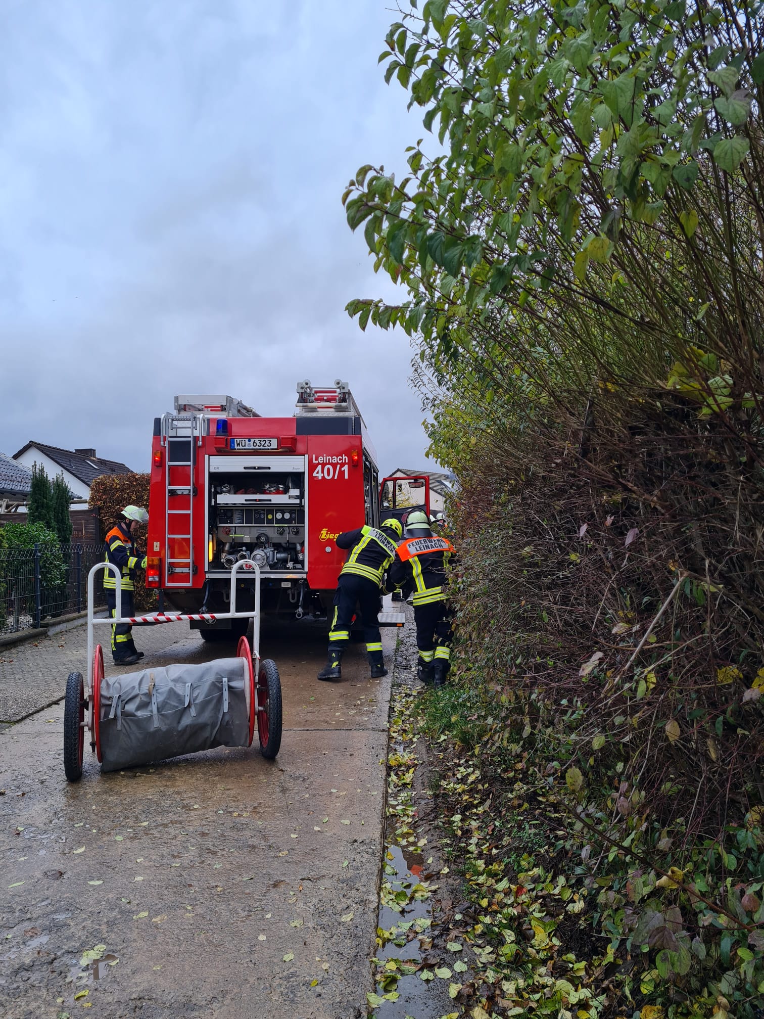 IMG 20241119 WA0026.jpg