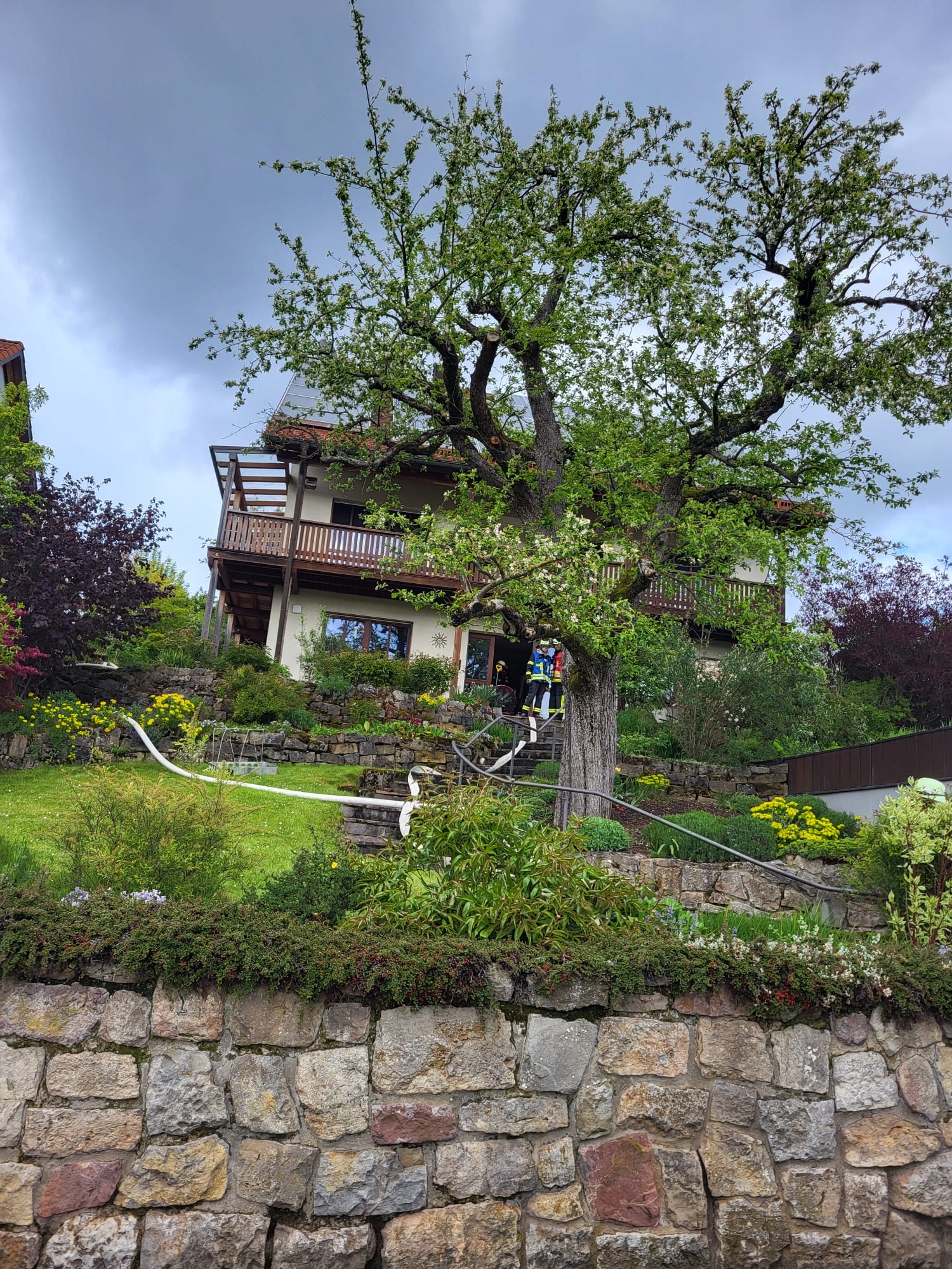 66dd2b80 Ed79 427a 9f64 1041cf6cf1ed.jpeg