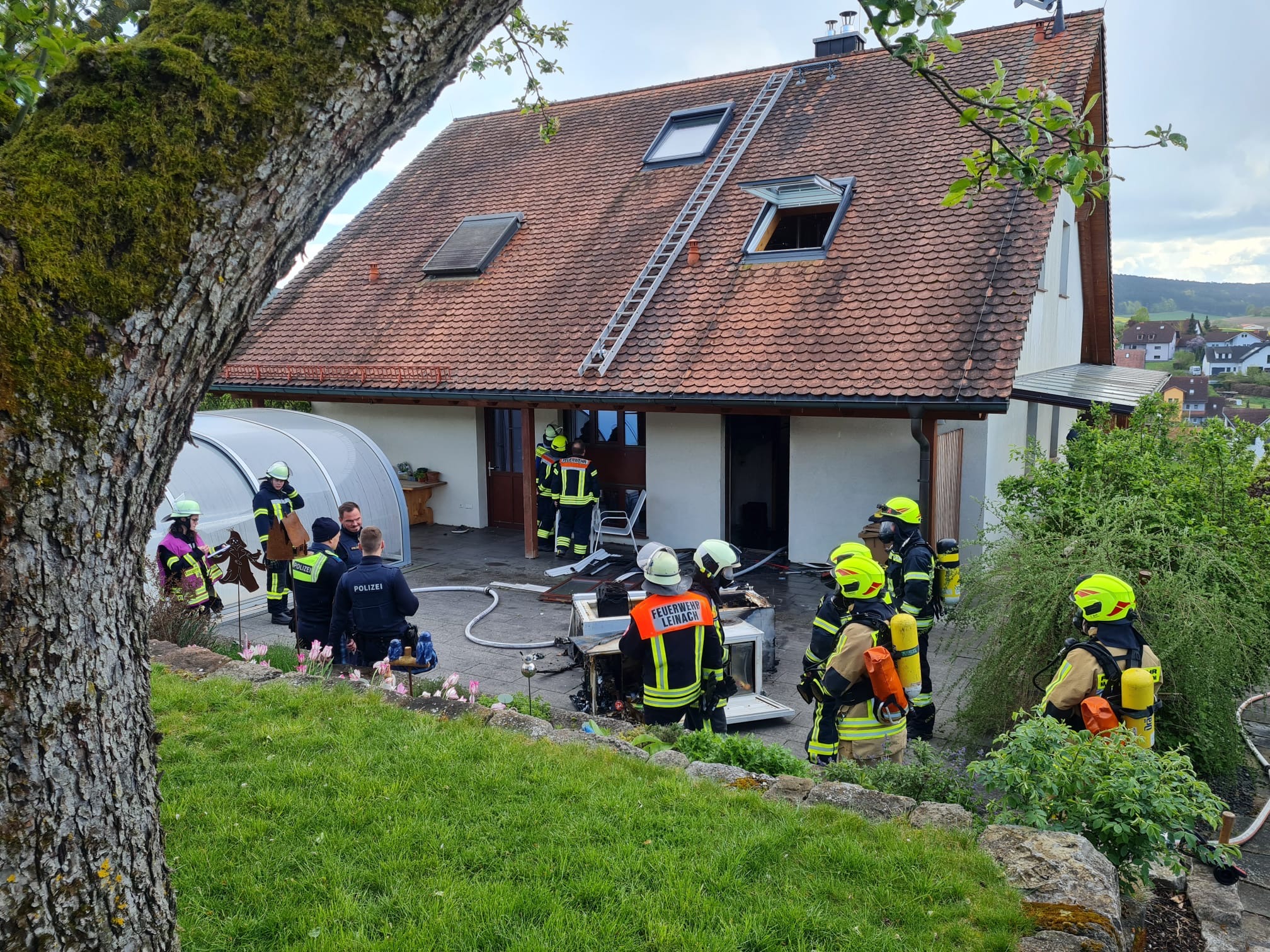 997919c8 9065 483e 8fd2 13b75f94cbec.jpeg