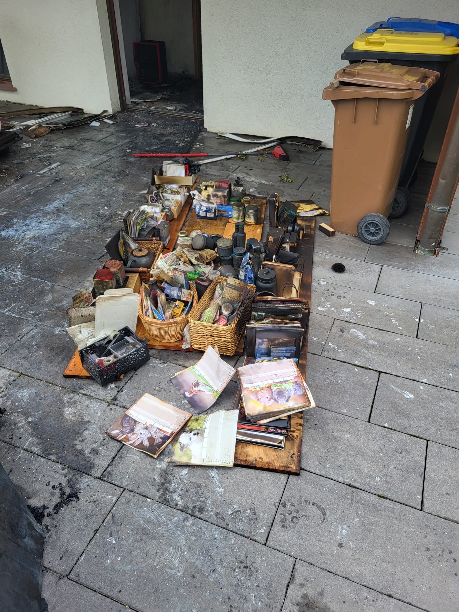 D44de374 4db5 4426 8afd 0a00b57d313e.jpeg