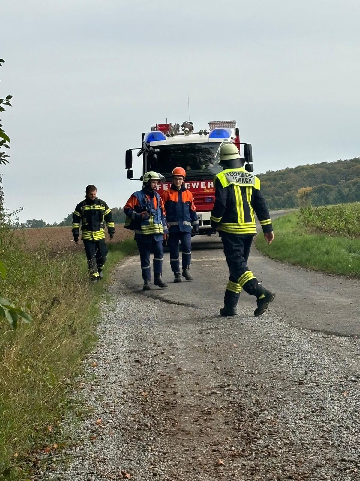 IMG 20241017 WA0004.jpg