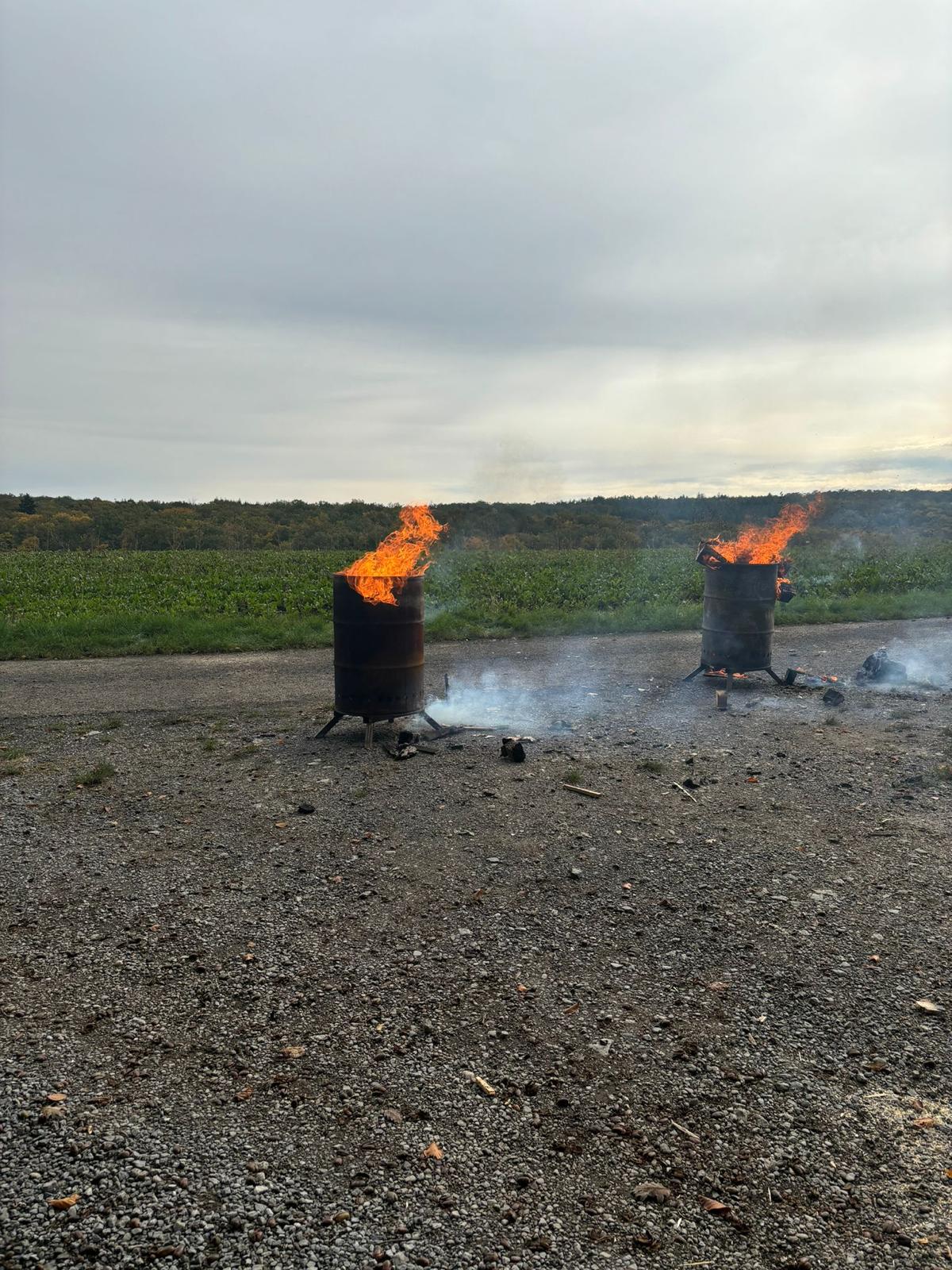 IMG 20241017 WA0005.jpg