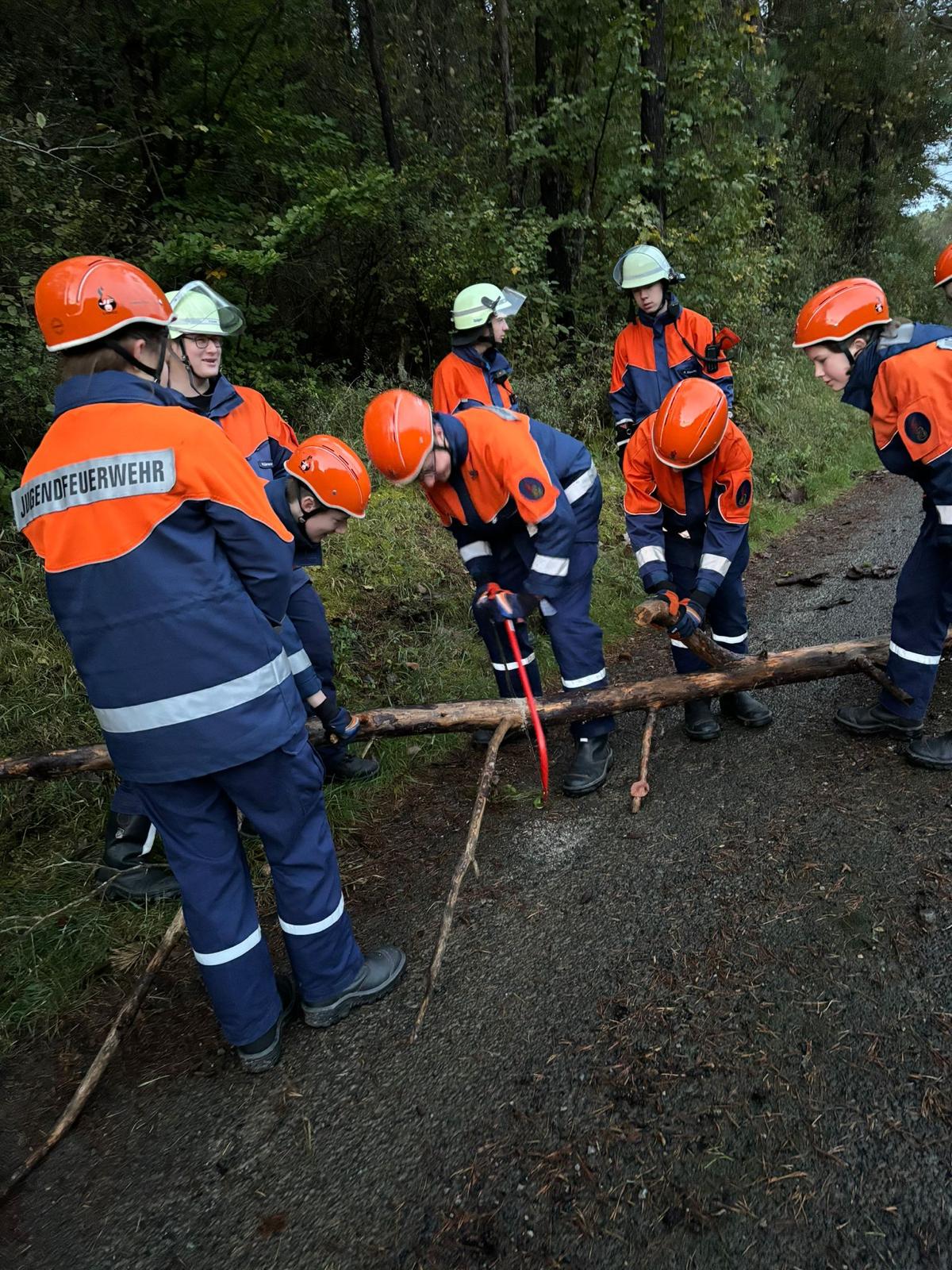 IMG 20241017 WA0023.jpg