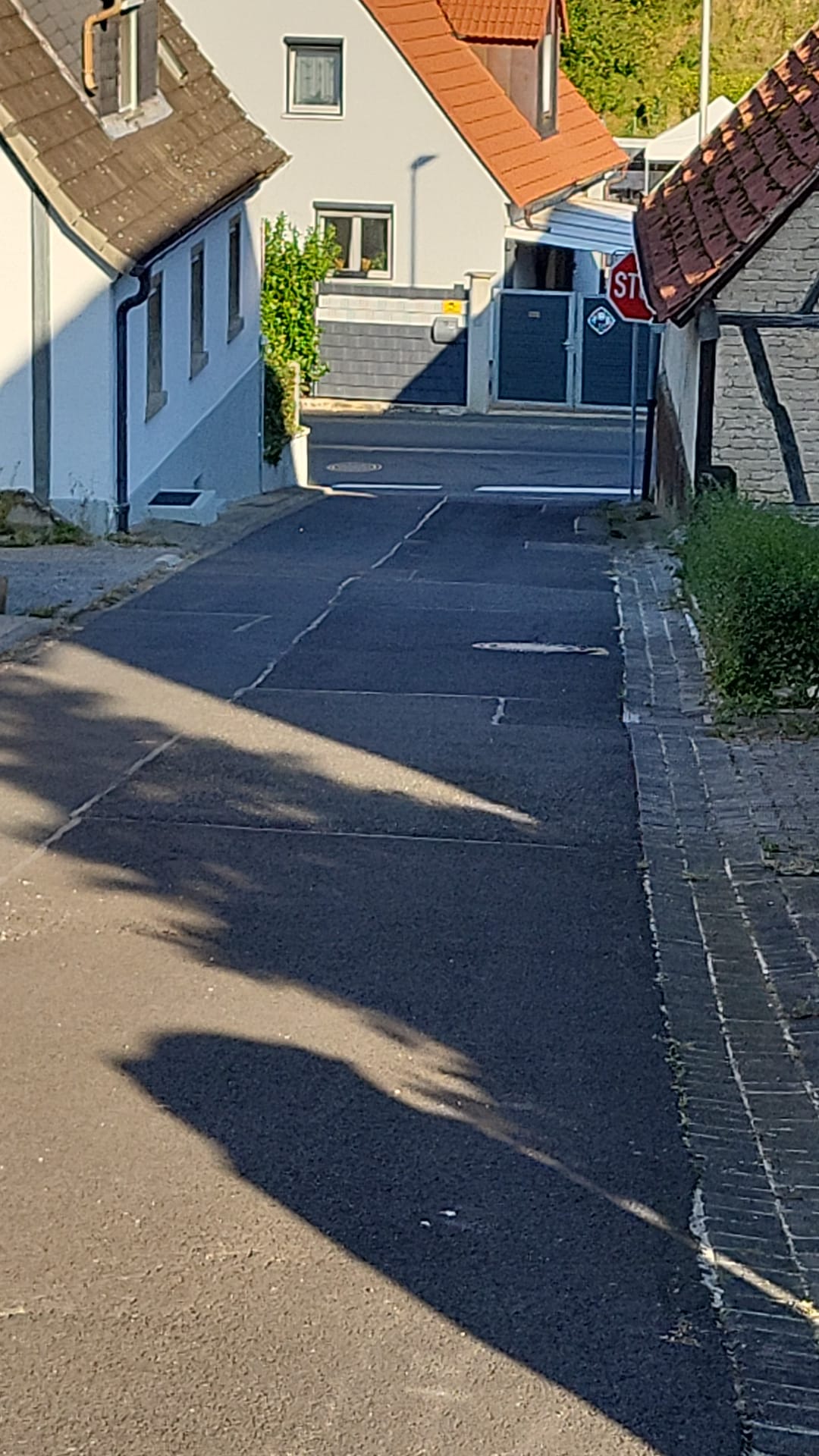 IMG 20241007 WA0012.jpg