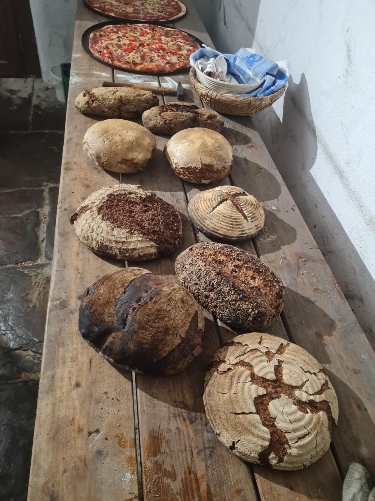 4f86d55f 5176 44e5 9e48 7767e4db2629.jpeg